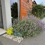 Cisza Village / Blisko Natury Prázdninový dům Nowecin