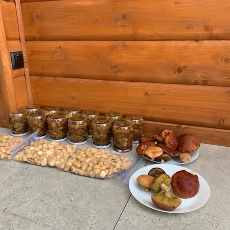 Feriehus Cisza Village / Blisko Natury