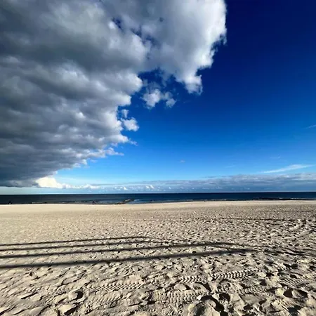 Cisza Village / Blisko Natury Nowecin