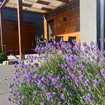 Cisza Village / Blisko Natury Nowecin