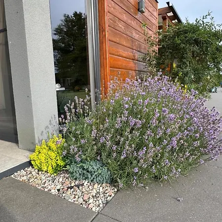Cisza Village / Blisko Natury Holiday home Nowecin
