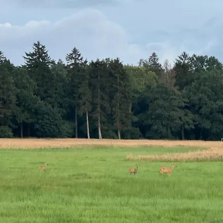 Cisza Village / Blisko Natury Dom wakacyjny