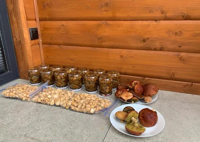 Prázdninový dům Cisza Village / Blisko Natury