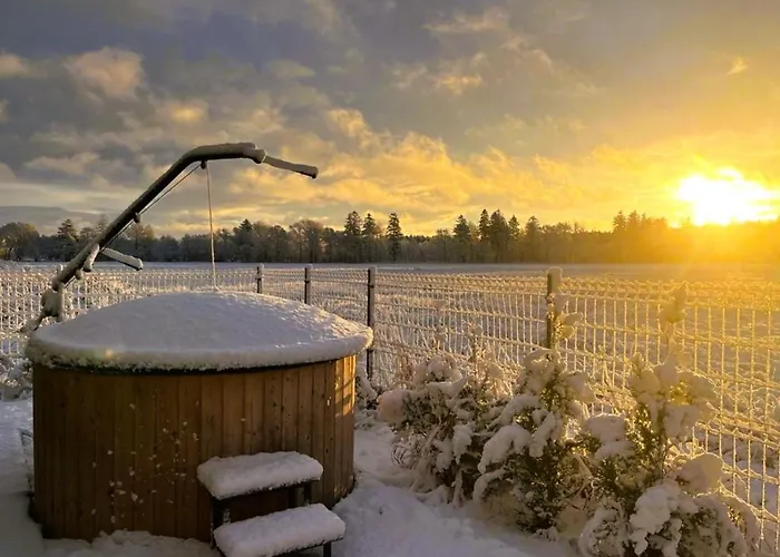 別荘 Cisza Village / Blisko Natury *