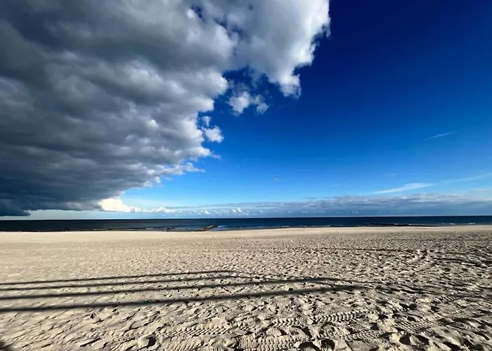 Cisza Village / Blisko Natury Nowecin