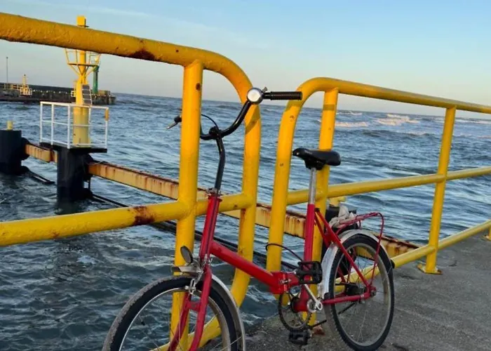 Cisza Village / Blisko Natury 別荘 *