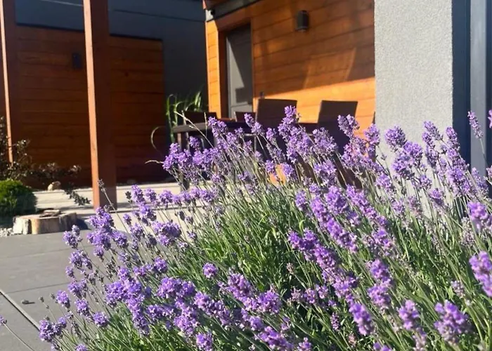 Cisza Village / Blisko Natury Nowecin