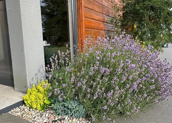 Cisza Village / Blisko Natury Prázdninový dům Nowecin